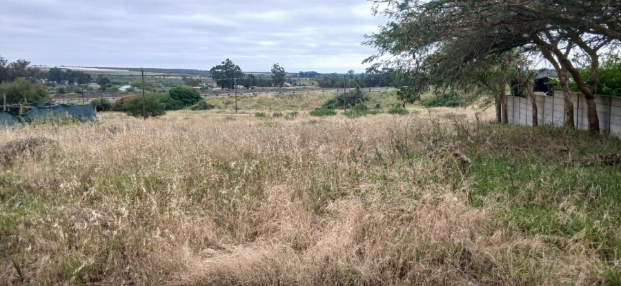 0 Bedroom Property for Sale in Hopefield Western Cape